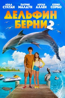 Дельфин Берни 2 смотреть онлайн бесплатно HD качество